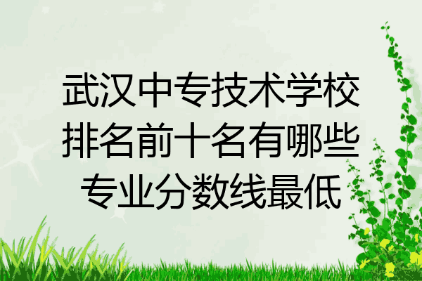 武汉中专技术学校排名前十名有哪些专业分数线最低