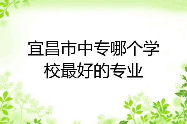宜昌市中专哪个学校最好的专业