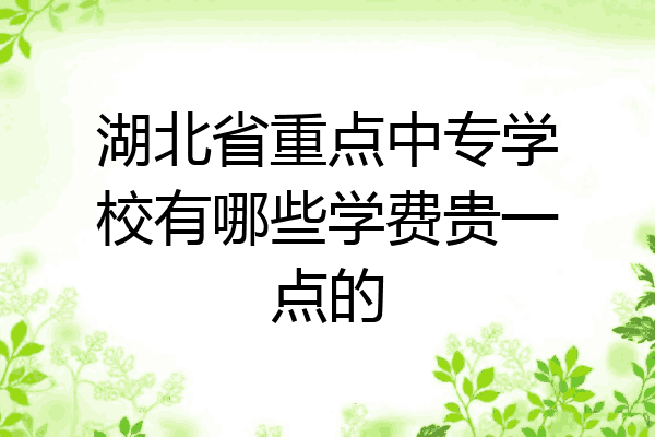 湖北省重点中专学校有哪些学费贵一点的