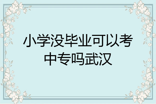 小学没毕业可以考中专吗武汉