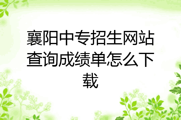 襄阳中专招生网站查询成绩单怎么下载