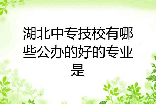 湖北中专技校有哪些公办的好的专业是