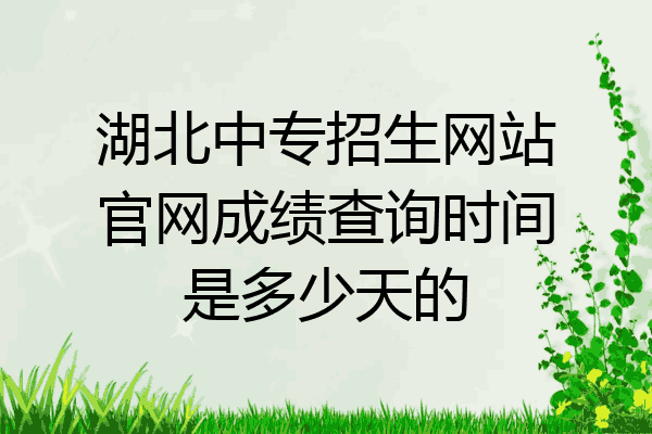 湖北中专招生网站官网成绩查询时间是多少天的