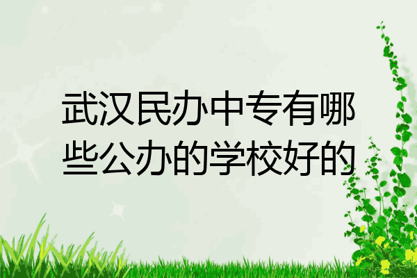 武汉民办中专有哪些公办的学校好的