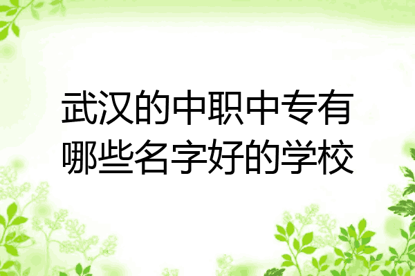 武汉的中职中专有哪些名字好的学校
