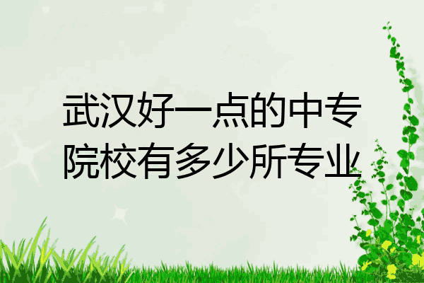 武汉好一点的中专院校有多少所专业
