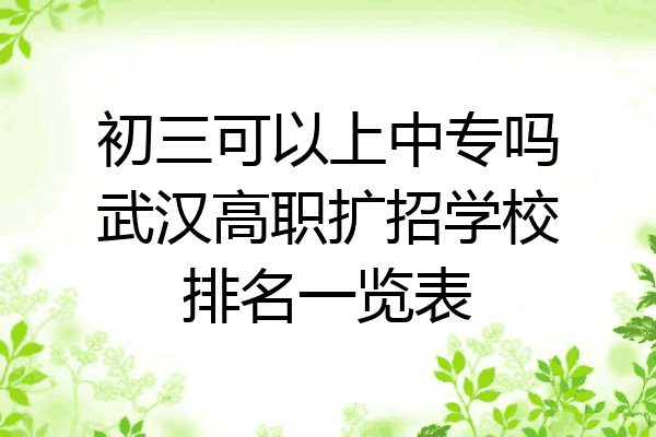 初三可以上中专吗武汉高职扩招学校排名一览表