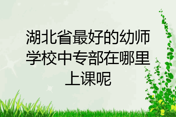 湖北省最好的幼师学校中专部在哪里上课呢