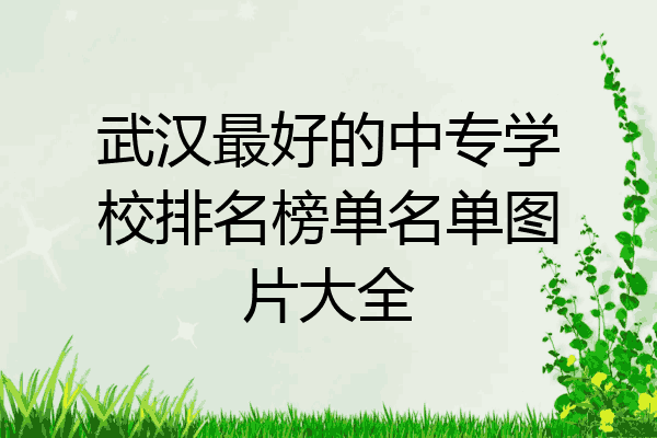 武汉最好的中专学校排名榜单名单图片大全