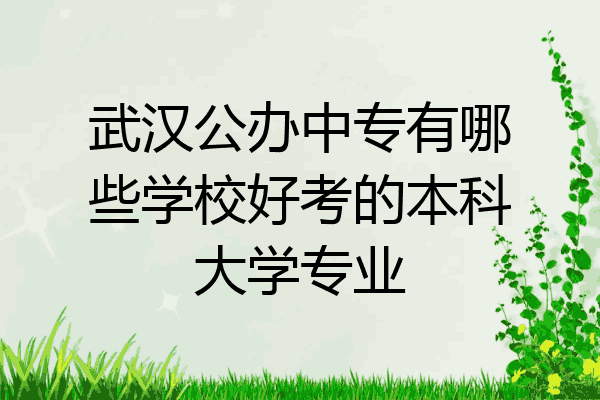武汉公办中专有哪些学校好考的本科大学专业