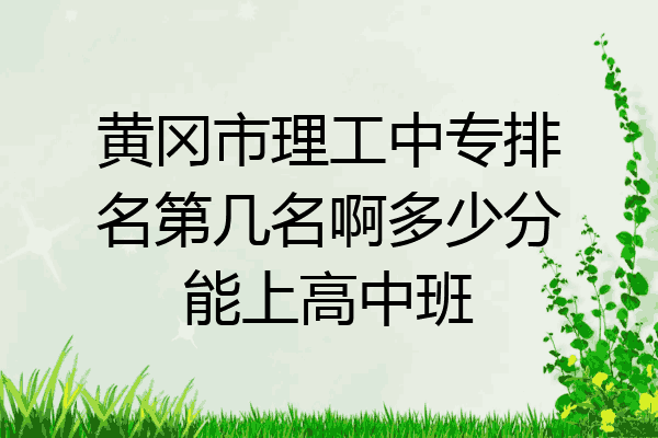 黄冈市理工中专排名第几名啊多少分能上高中班