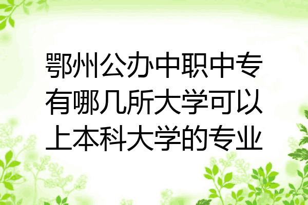 鄂州公办中职中专有哪几所大学可以上本科大学的专业
