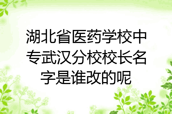 湖北省医药学校中专武汉分校校长名字是谁改的呢