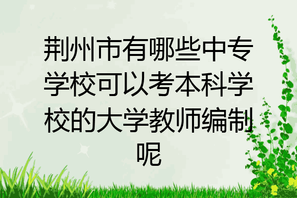 荆州市有哪些中专学校可以考本科学校的大学教师编制呢