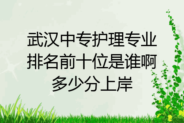武汉中专护理专业排名前十位是谁啊多少分上岸