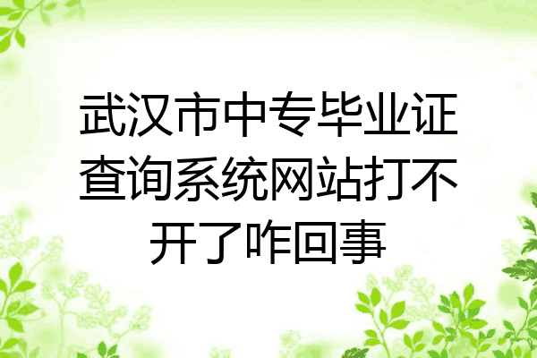 武汉市中专毕业证查询系统网站打不开了咋回事