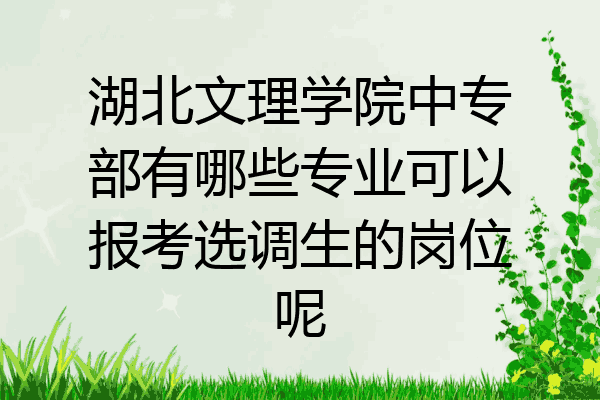 湖北文理学院中专部有哪些专业可以报考选调生的岗位呢