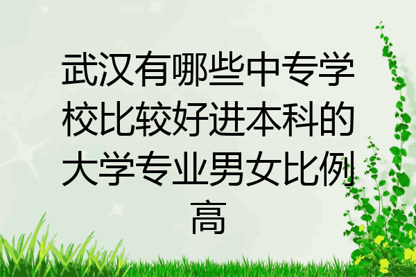 武汉有哪些中专学校比较好进本科的大学专业男女比例高