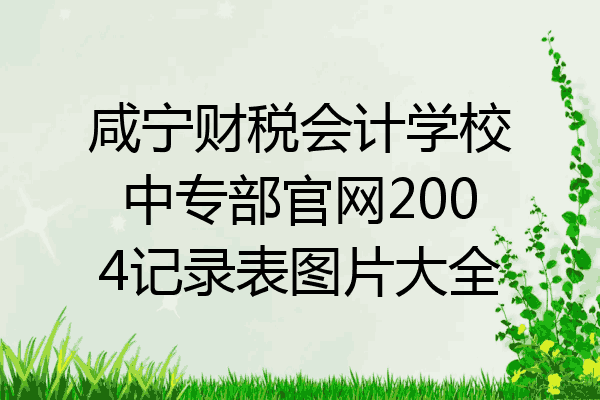 咸宁财税会计学校中专部官网2004记录表图片大全
