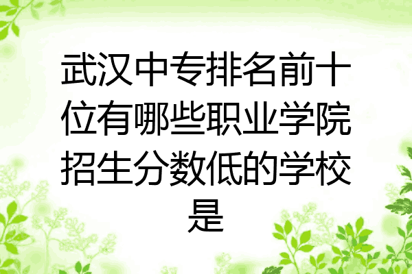 武汉中专排名前十位有哪些职业学院招生分数低的学校是