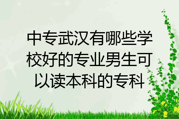 中专武汉有哪些学校好的专业男生可以读本科的专科