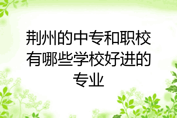 荆州的中专和职校有哪些学校好进的专业