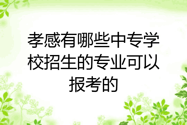 孝感有哪些中专学校招生的专业可以报考的