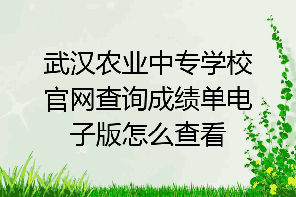 武汉农业中专学校官网查询成绩单电子版怎么查看