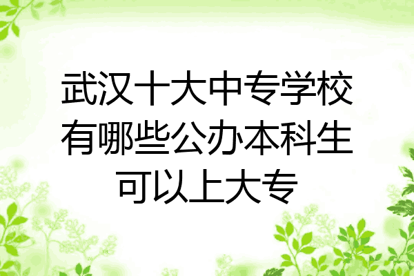 武汉十大中专学校有哪些公办本科生可以上大专