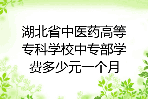 湖北省中医药高等专科学校中专部学费多少元一个月