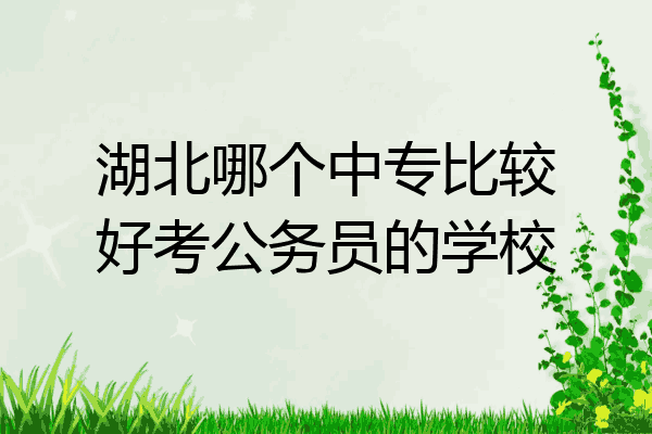 湖北哪个中专比较好考公务员的学校