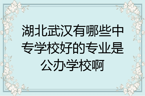 湖北武汉有哪些中专学校好的专业是公办学校啊