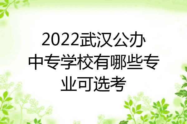 2022武汉公办中专学校有哪些专业可选考