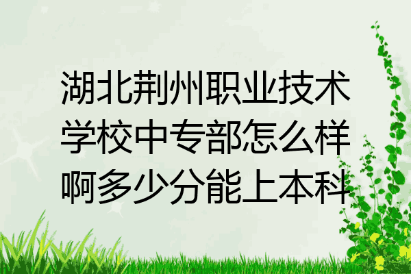 湖北荆州职业技术学校中专部怎么样啊多少分能上本科