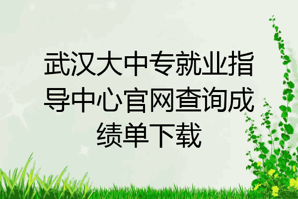 武汉大中专就业指导中心官网查询成绩单下载