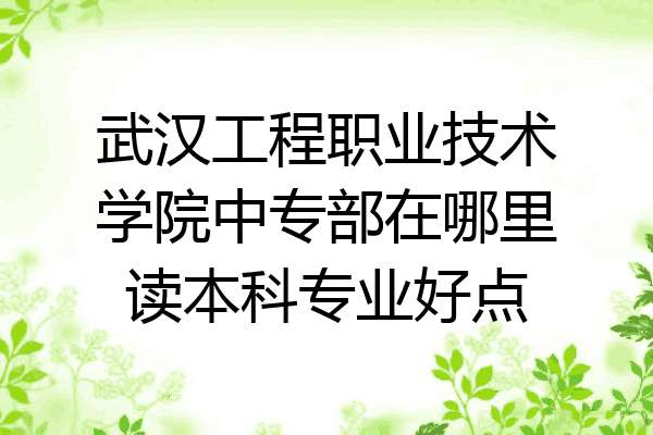 武汉工程职业技术学院中专部在哪里读本科专业好点