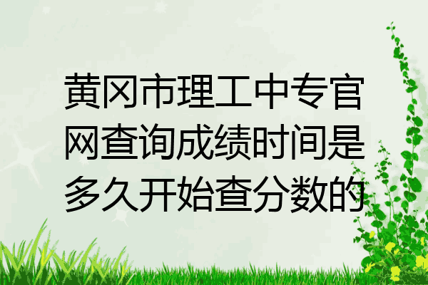 黄冈市理工中专官网查询成绩时间是多久开始查分数的