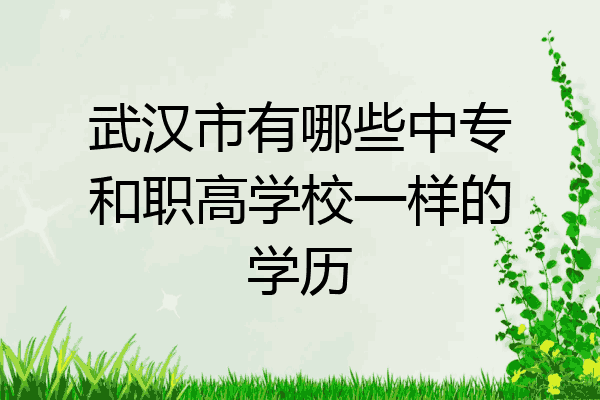 武汉市有哪些中专和职高学校一样的学历