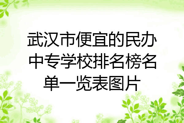 武汉市便宜的民办中专学校排名榜名单一览表图片