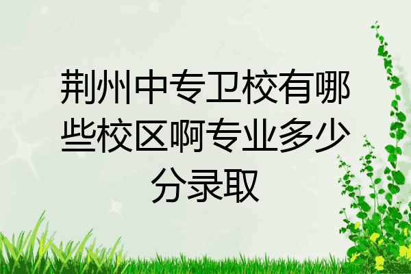 荆州中专卫校有哪些校区啊专业多少分录取
