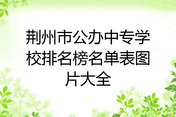 荆州市公办中专学校排名榜名单表图片大全