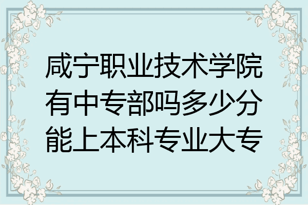咸宁职业技术学院有中专部吗多少分能上本科专业大专