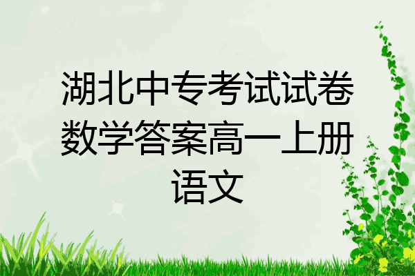湖北中专考试试卷数学答案高一上册语文