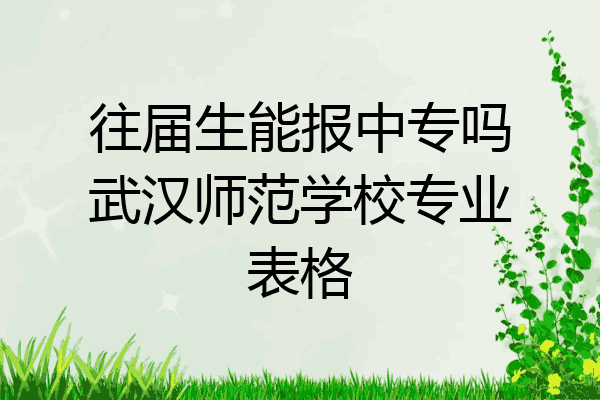 往届生能报中专吗武汉师范学校专业表格