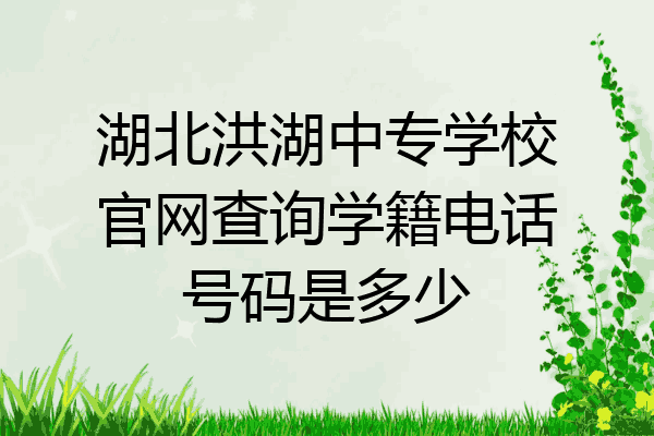 湖北洪湖中专学校官网查询学籍电话号码是多少
