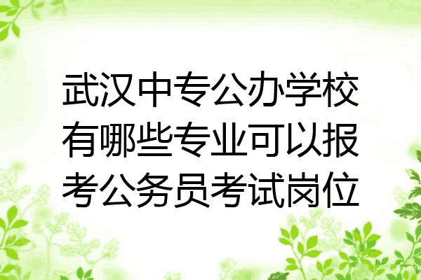 武汉中专公办学校有哪些专业可以报考公务员考试岗位