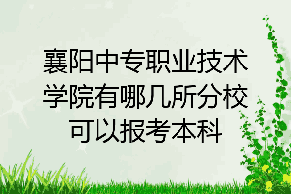 襄阳中专职业技术学院有哪几所分校可以报考本科
