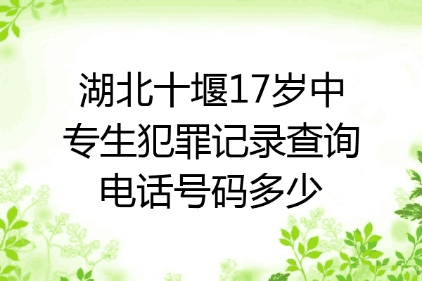 湖北十堰17岁中专生犯罪记录查询电话号码多少