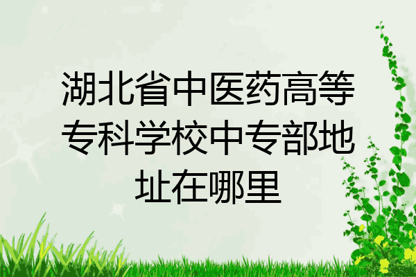 湖北省中医药高等专科学校中专部地址在哪里