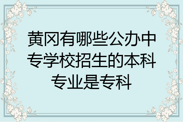 黄冈有哪些公办中专学校招生的本科专业是专科